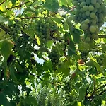 Peaceful House In Nature Nearby National Park Krka