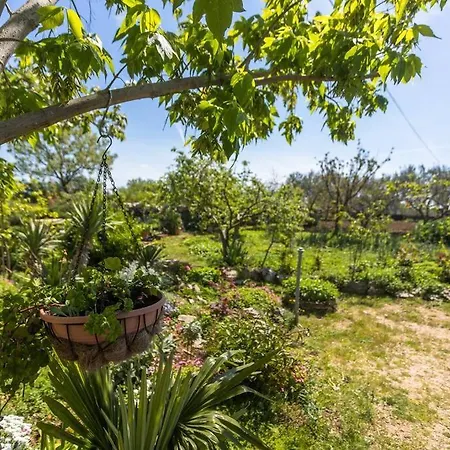 Peaceful House In Nature Nearby National Park Krka * Bristane