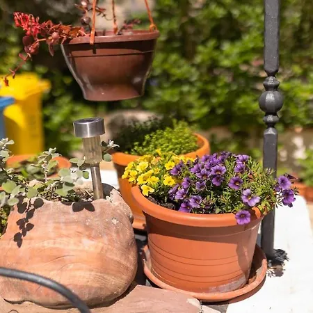 Peaceful House In Nature Nearby National Park Krka