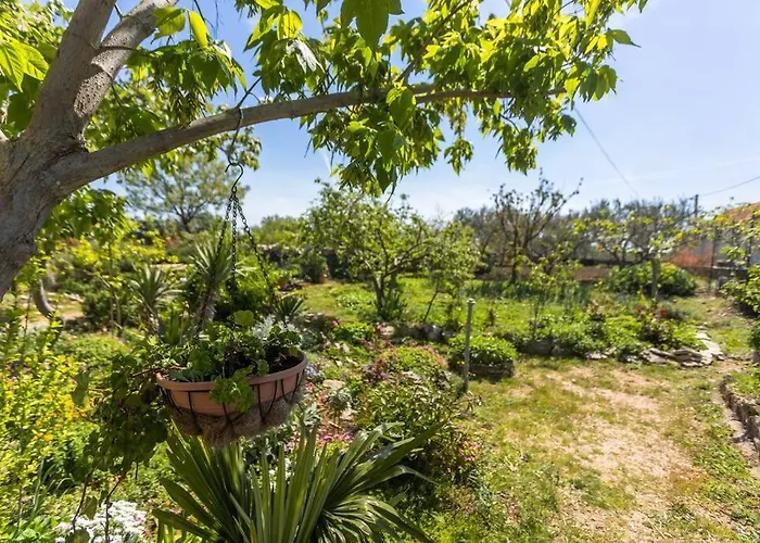 Peaceful House In Nature Nearby National Park Krka * Bristane