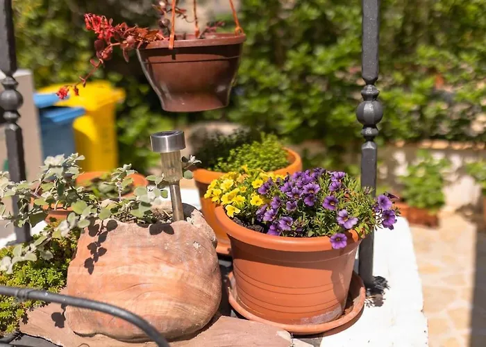 Peaceful House In Nature Nearby National Park Krka