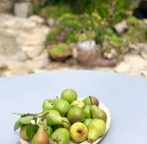 Peaceful House In Nature Nearby National Park Krka * Bristane